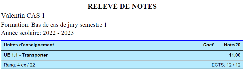 relevé-pdf-cas1